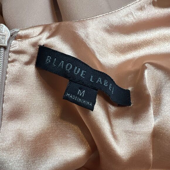 Revolve Blaque Label True Love Dress Skater Champagne Dusty Pink Sz M - Picture 9 of 13